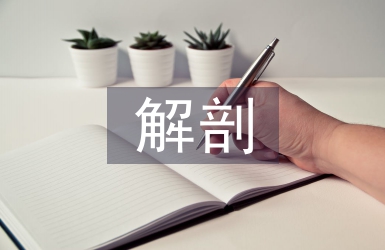 解剖生理學論文