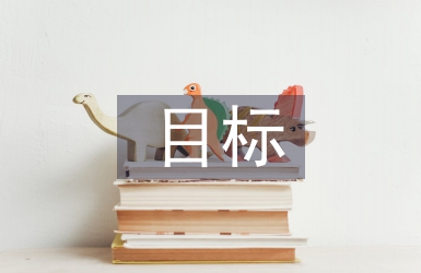 試用期目標(biāo)完成總結(jié)