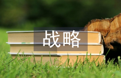 人力資本下人力資源開發戰略