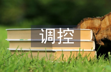 房地產(chǎn)調(diào)控研究論文