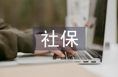 社保審計論文