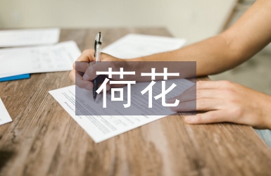 荷花教案