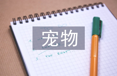 寵物醫(yī)生畢業(yè)論文