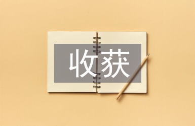 勞動教育的收獲和體會