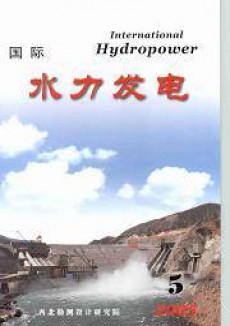 國際水力發電