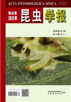 昆蟲學(xué)報(bào)期刊