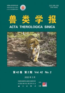 獸類學報期刊