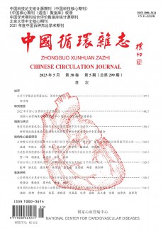 中國循環期刊