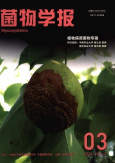 菌物學報期刊