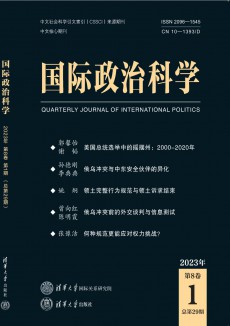 國際政治科學(xué)期刊