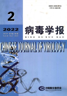病毒學報期刊