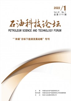 石油科技論壇期刊