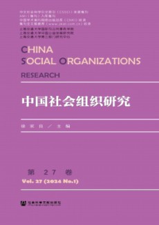 中國社會組織研究